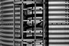 Schattenspiel (c) Peter Taubert