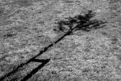 Schattenspiel (c) Andreas Otto