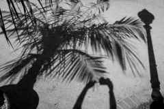 Schattenspiel (c) Andreas Otto