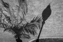 Schattenspiel (c) Andreas Otto