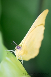 Maximilianpark, Hamm