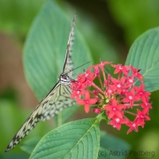 Maximilianpark, Hamm