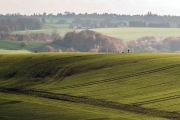 Landschaft
