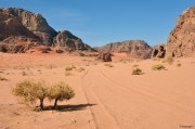 Wadi_Rum