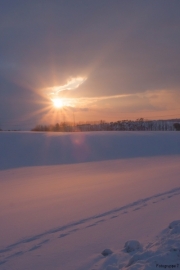 Landschaft