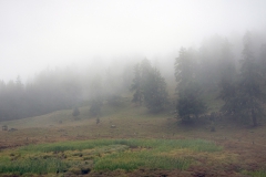 Landschaft