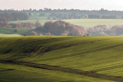 Landschaft