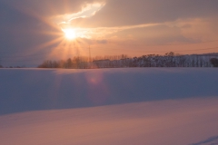 Landschaft