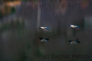 Landeanflug