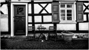 (c) Gerd Baumann