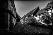 (c) Gerd Baumann