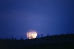 Mond