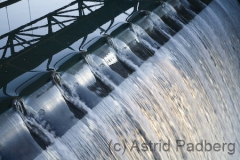 Wasser
