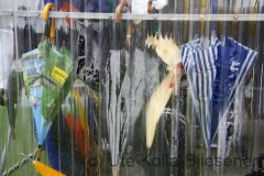 Ohne Titel