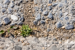 von oben (c) Ina Herzig