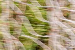 von oben (c) Ina Herzig