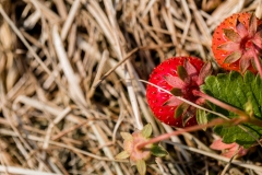 von oben (c) Ina Herzig