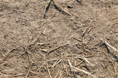 von oben (c) Ina Herzig