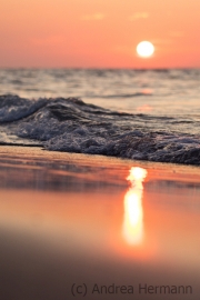 Sonnenglanz (c) Andrea Hermann