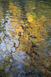 Herbstfarben (c) Astrid Padberg