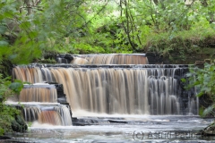 Wasser marsch (c) Astrid Padberg