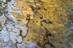 Herbstfarben (c) Astrid Padberg