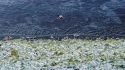 Wasser (c) Annette Ulrich