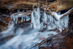 Wasser (c) Detlef Buxmann