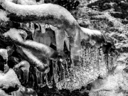 Wasser (c) Gerd Baumann