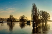 Wasser (c) Gerd Baumann