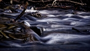 Wasser (c) Peter Taubert