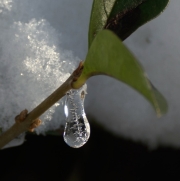 Wasser (c) Renate Romanus
