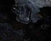 Wasser (c) Renate Romanus