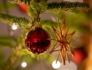 Weihnachten 2020 (c) Detlef Buxmann