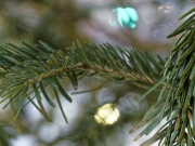 Weihnachten (c) Annette Ulrich