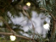 Weihnachten (c) Annette Ulrich