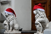 Weihnachten (c) Caroline Henkes