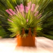 Bewegung (c) Detlef Buxmann