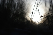 Winter (c) Andrea Hermann