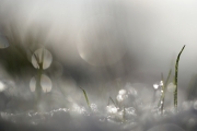 Winter (c) Andrea Hermann