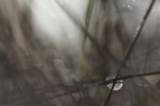 Winter (c) Andrea Hermann