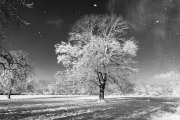 Winter (c) Andreas Otto