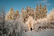 Winter (c) Andreas Otto