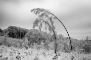 Winter (c) Andreas Otto