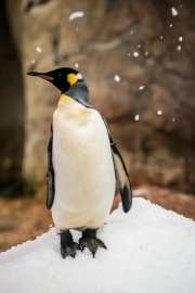 Winter (c) Andreas Otto