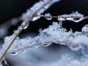 Winter (c) Annette Ulrich