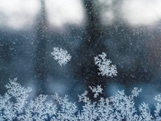 Winter (c) Annette Ulrich