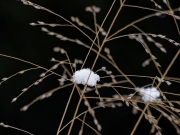 Winter (c) Annette Ulrich