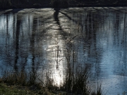 Winter (c) Annette Ulrich