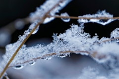 Winter (c) Annette Ulrich